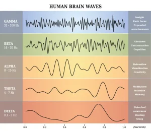 Theta-Frequenz im menschlichen Gehirn